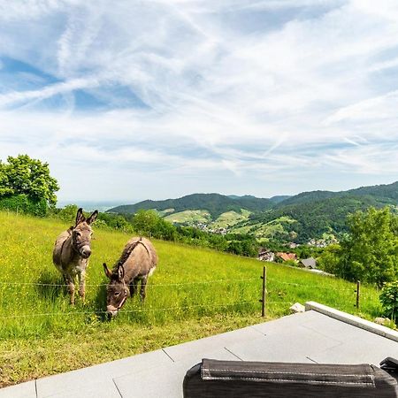 Merzel'S Schone Aussicht Bühlertal エクステリア 写真