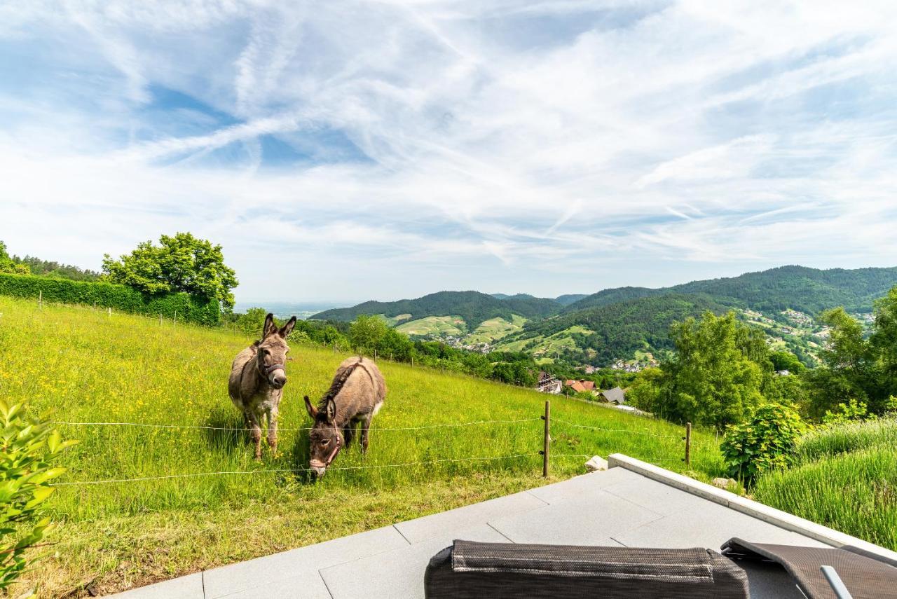 Merzel'S Schone Aussicht Bühlertal エクステリア 写真