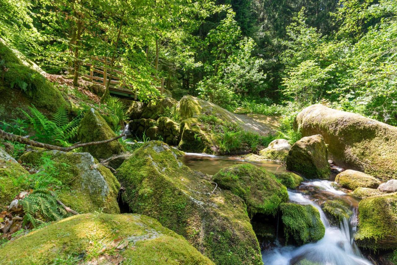 Merzel'S Schone Aussicht Bühlertal エクステリア 写真